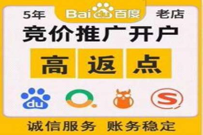 充值高返点背后的策略与技巧：案例分析